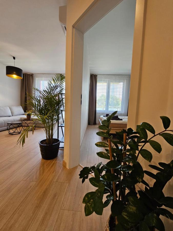 2 Apartment, New Building, Bosakova Street, 49 Appartement